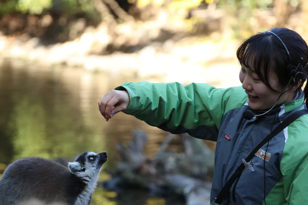 ワオワオトーク